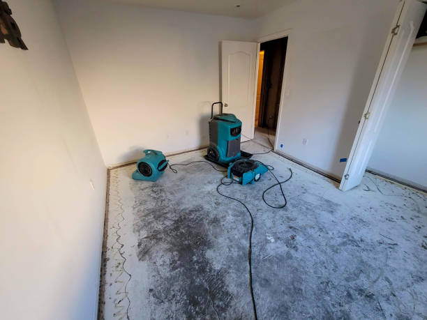 Best Professional water damage repair  in Centre Hall, PA