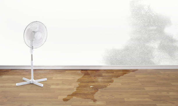 Best Carpet water damage restoration  in Centre Hall, PA