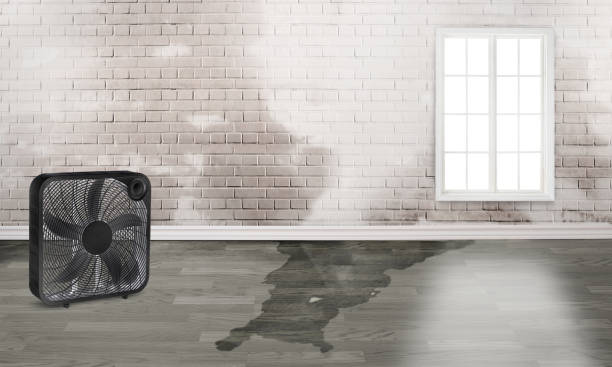  Centre Hall, PA Water damage restoration Pros
