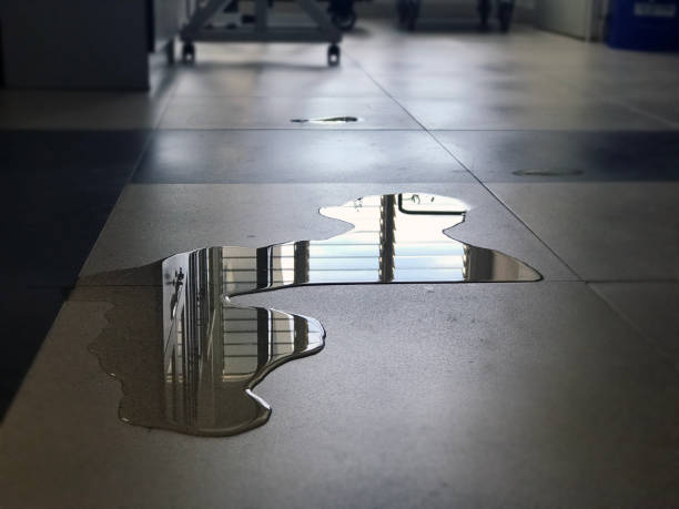 Best Local water damage restoration  in Centre Hall, PA
