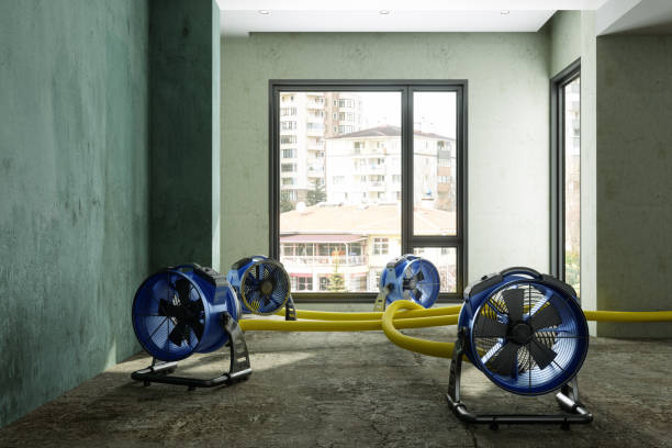 Best 24/7 water damage repair  in Centre Hall, PA